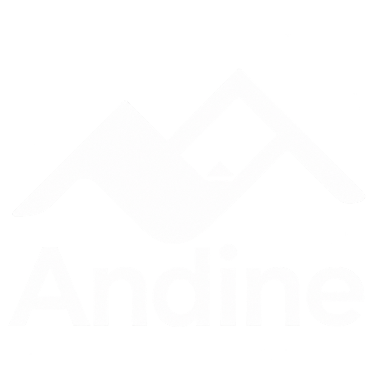 Andine Soft logo